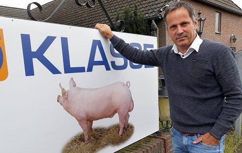danbred with klasse ki
