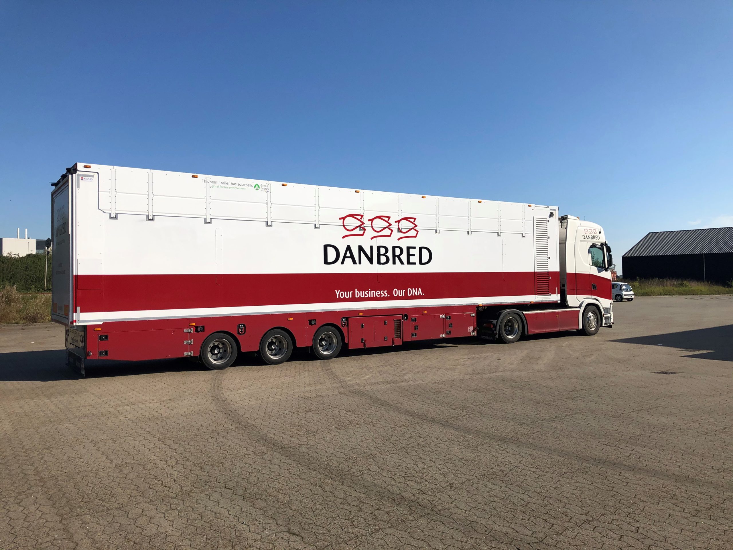 danbed export