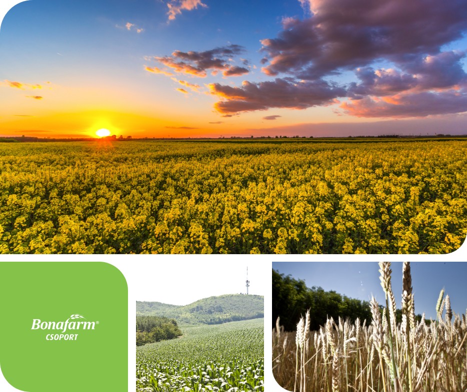 bonafarm group photo of differenct sectors in agriculture, such as crop production, feed manufacturing, live stock