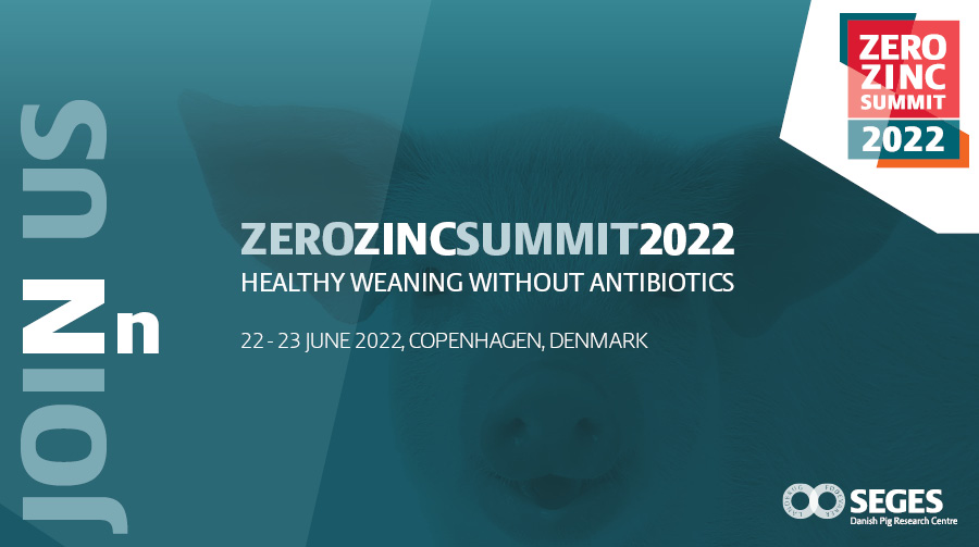 zero zinc summit