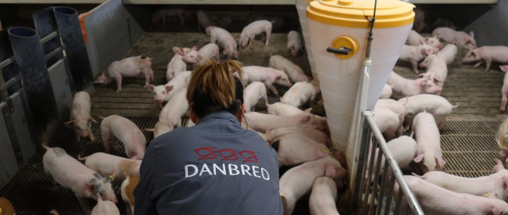 What has the last 10 years of breeding progress meant for your production costs?