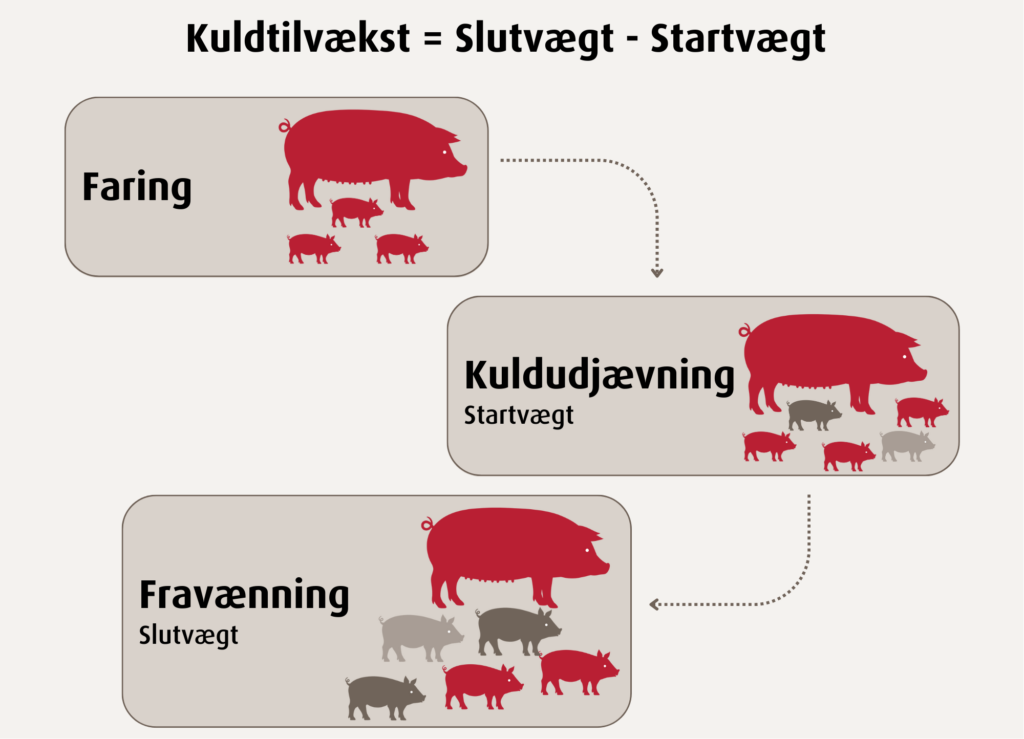 Kuldtilvækst