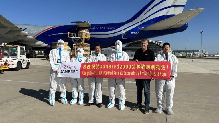 Pigs arrive in China