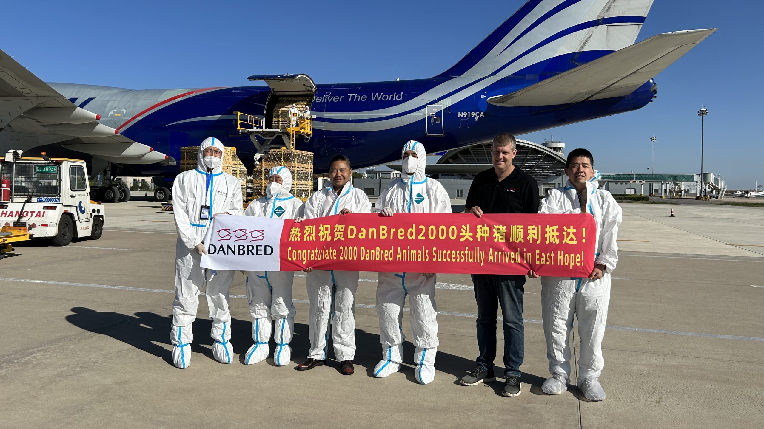 Pigs arrive in China