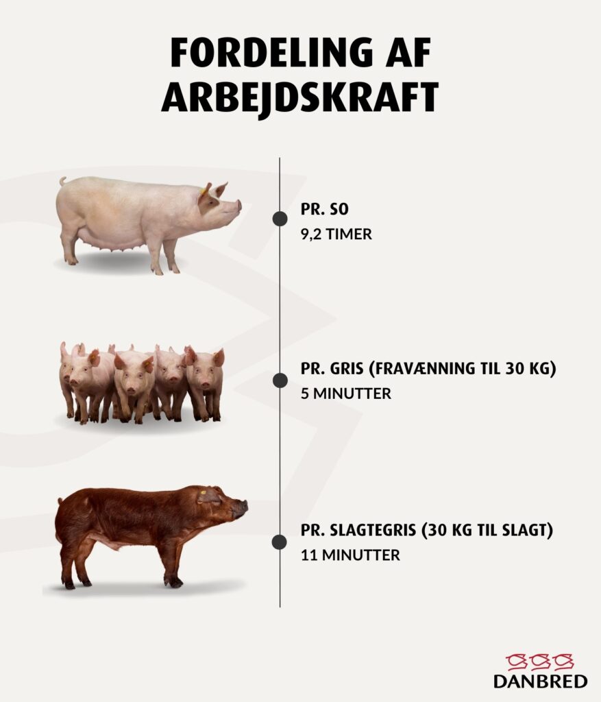 Lønomkostning - fordeling af arbejdskraft