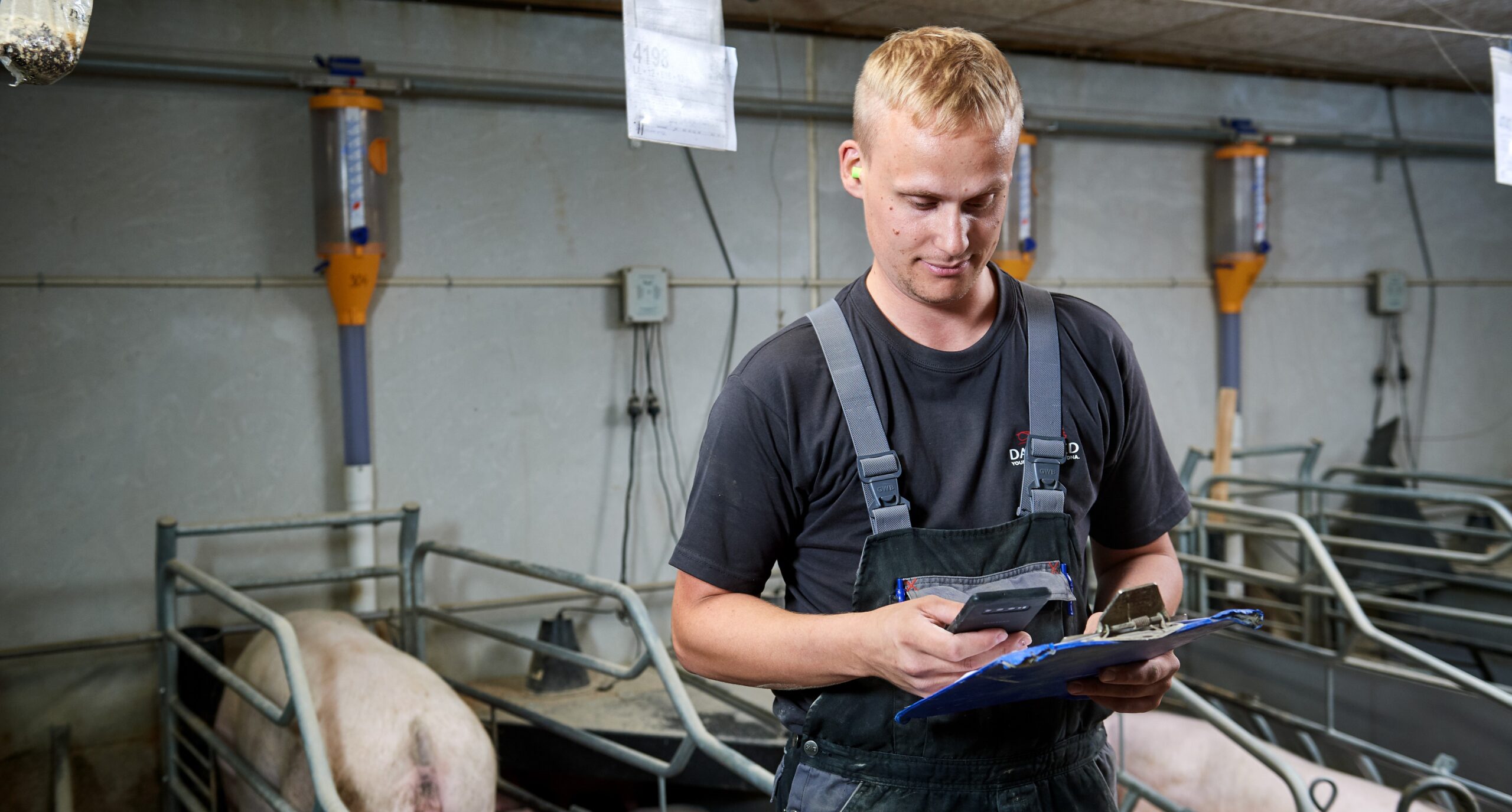 Balanceret avl for fremtiden